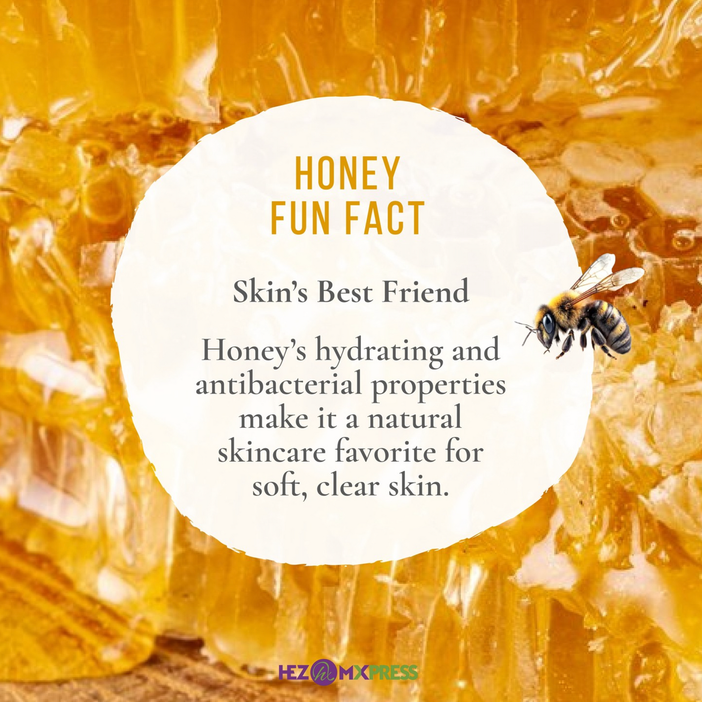 SHIFFA FAMILY PREMIUM BLACK SEED HONEY (50G)